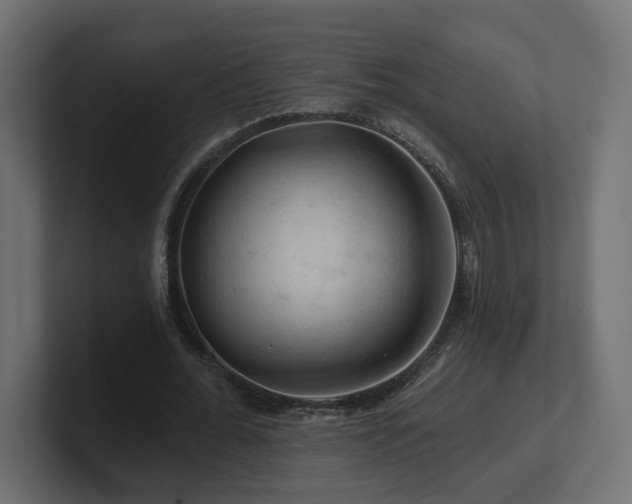 X0000101090676200806261452