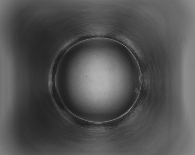 X0000101090677200806261452