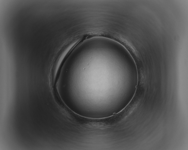 X0000101090681200806261452