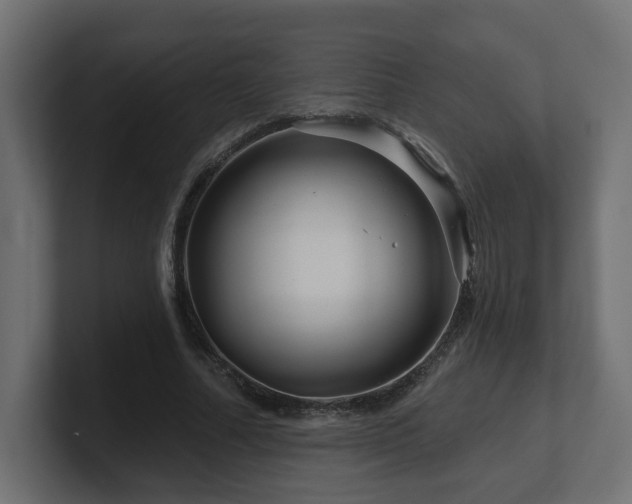 X0000101090682200806261452