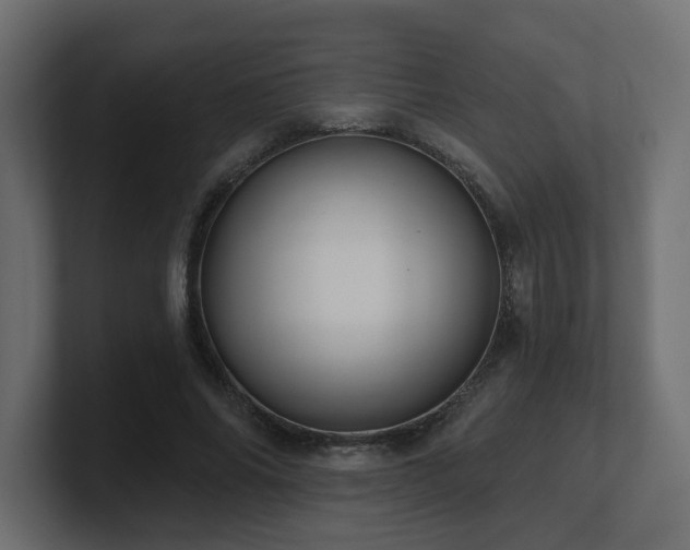 X0000101090686200806261452