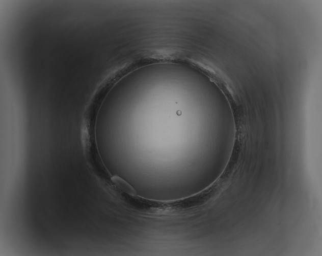 X0000101090688200806261452