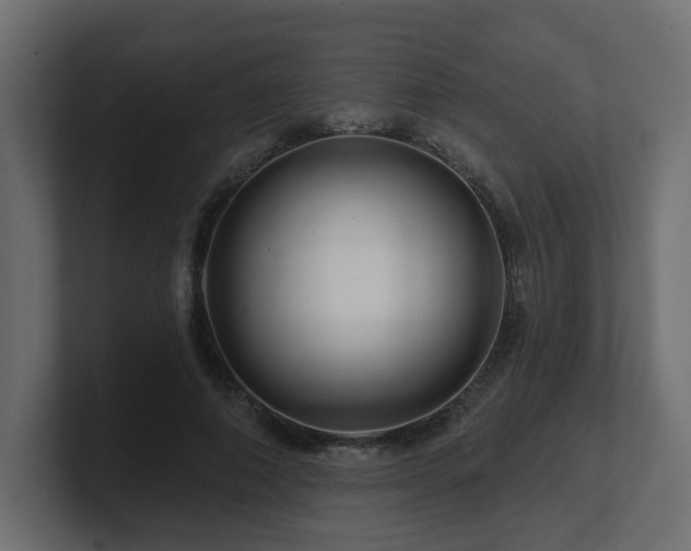 X0000101090690200806261452