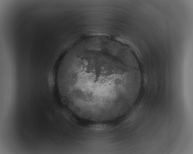 X0000101090691200806261452