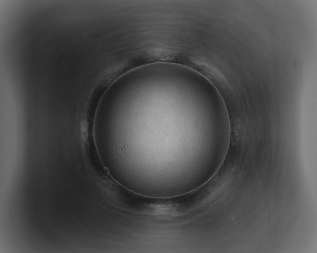 X0000101090693200806261452