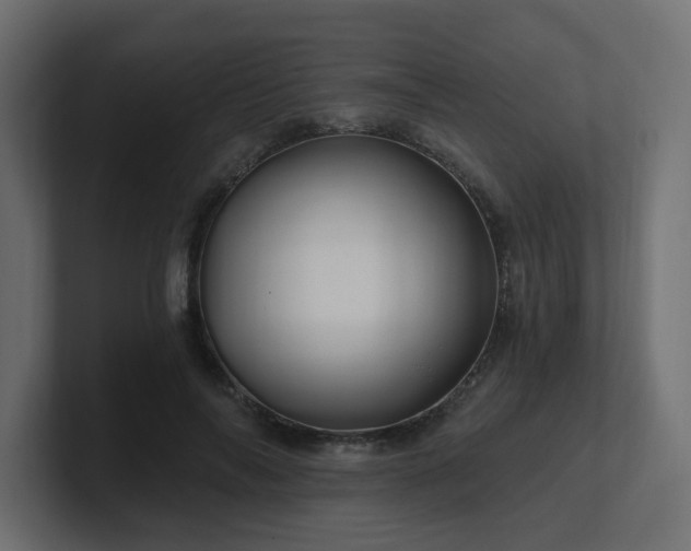 X0000101090694200806261452