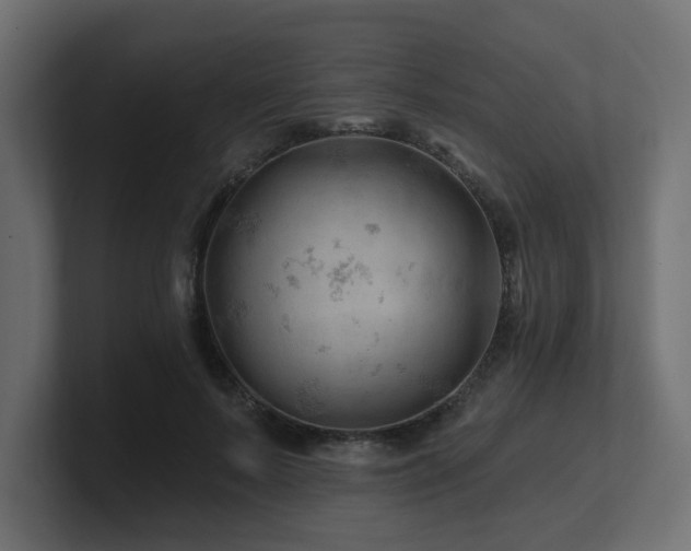 X0000101090695200806261452