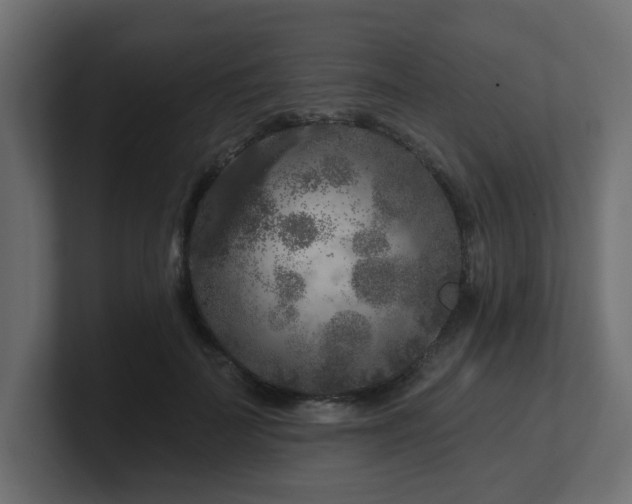 X0000101090699200806261452