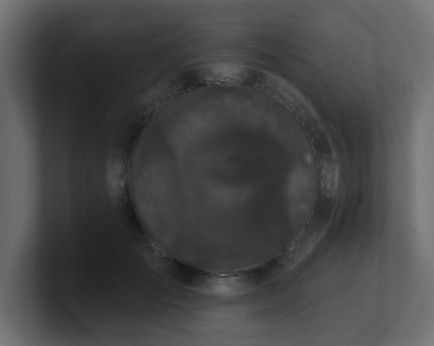 X0000101090701200806261452