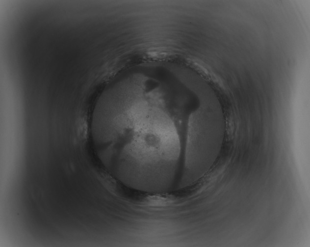 X0000101090703200806261451