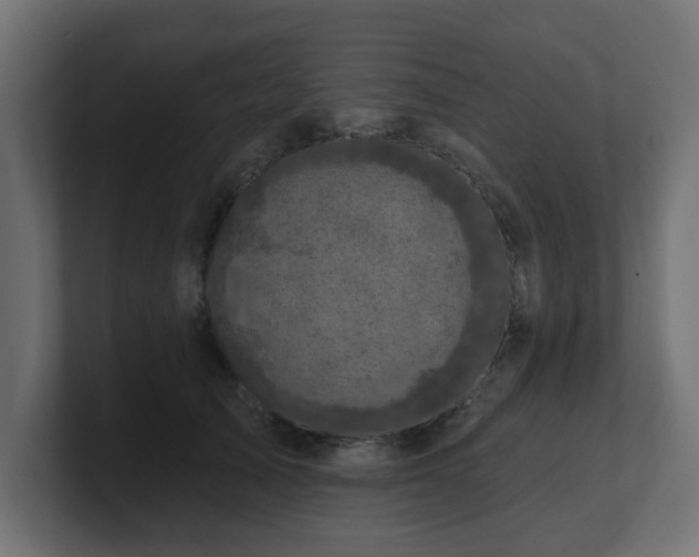 X0000101090705200806261451