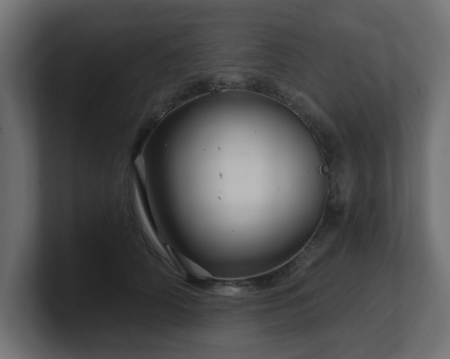 X0000101090706200806261451