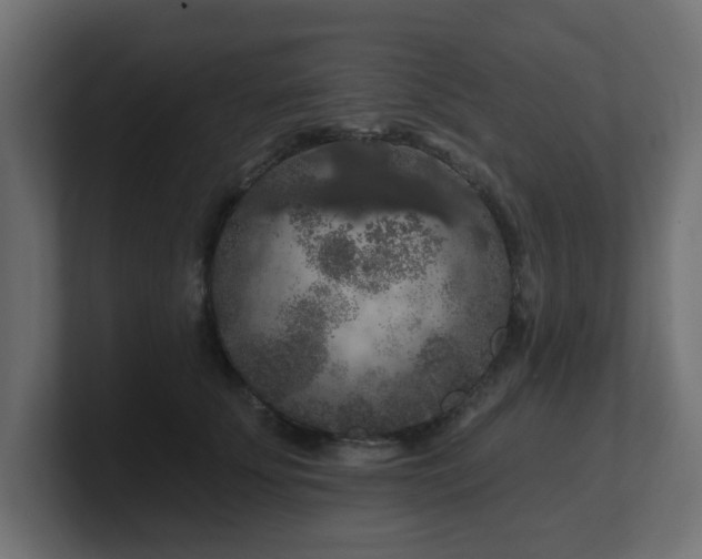 X0000101090707200806261451