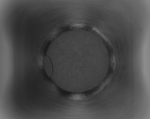 X0000101090708200806261451