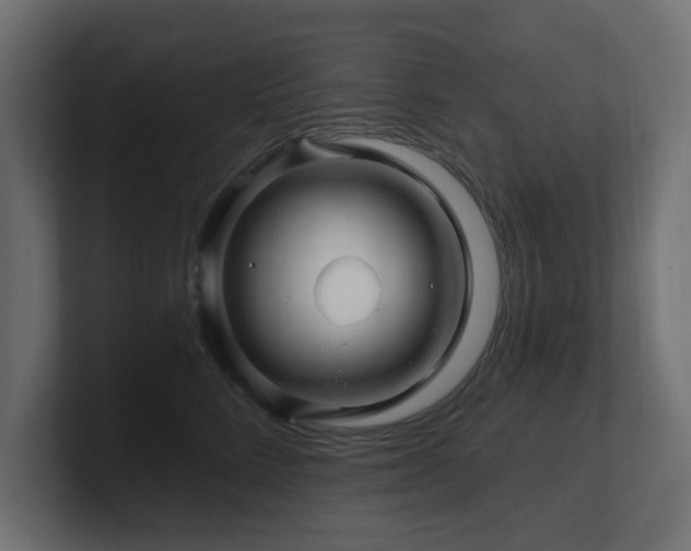 X0000101090712200806261451