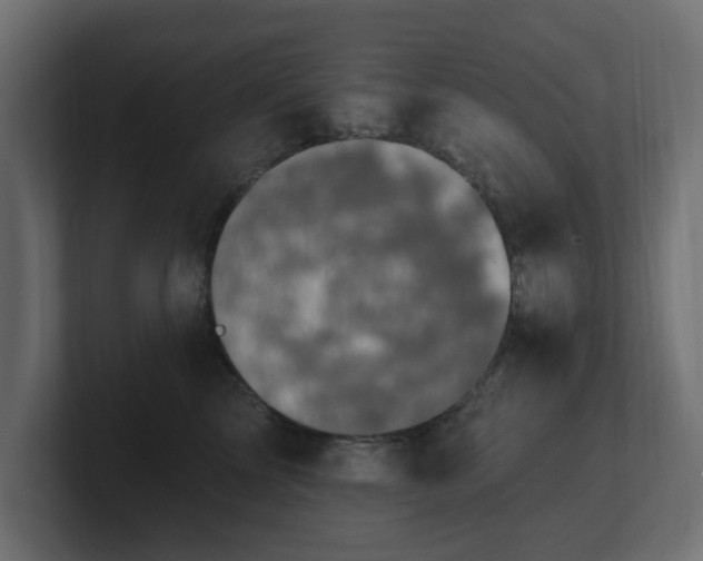 X0000101090713200806261451