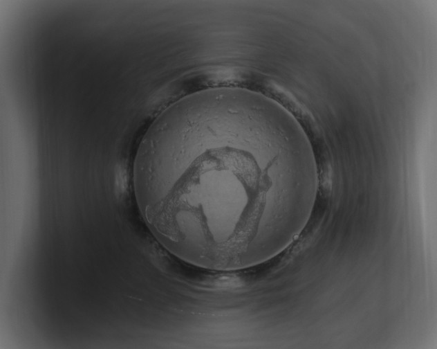 X0000101090715200806261451