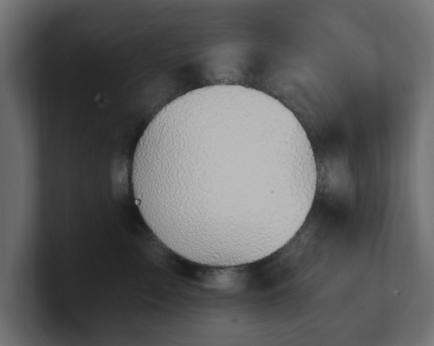 X0000101090717200806261451