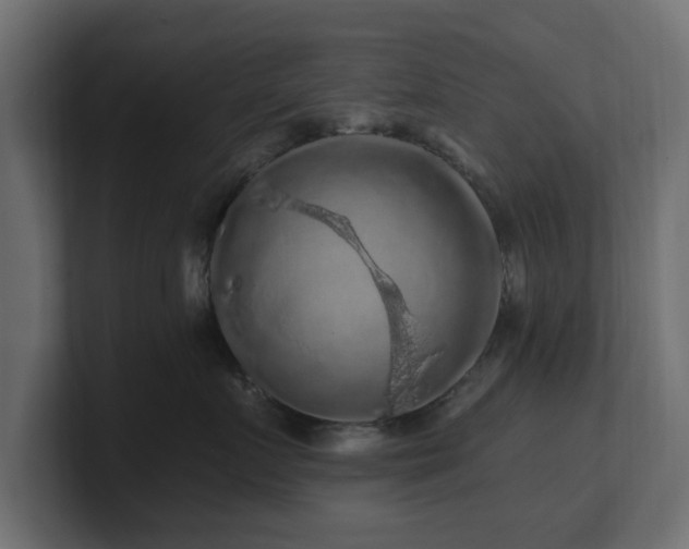 X0000101090719200806261451