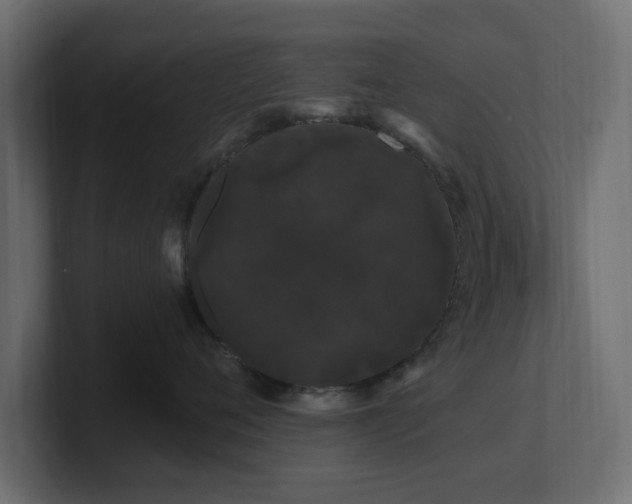 X0000101090720200806261451