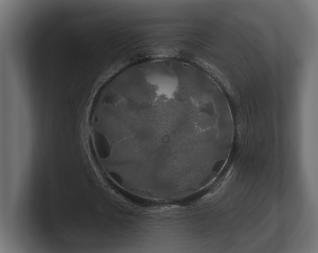 X0000101090721200806261451