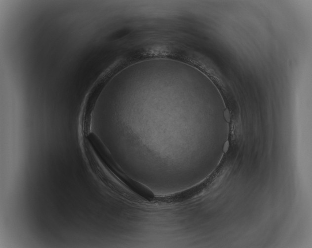 X0000101090722200806261451