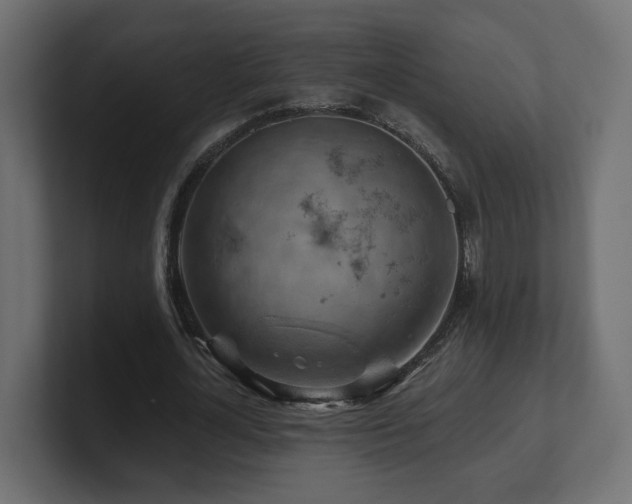 X0000101090724200806261451