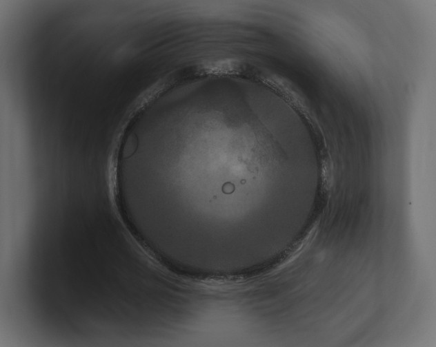 X0000101090725200806261451