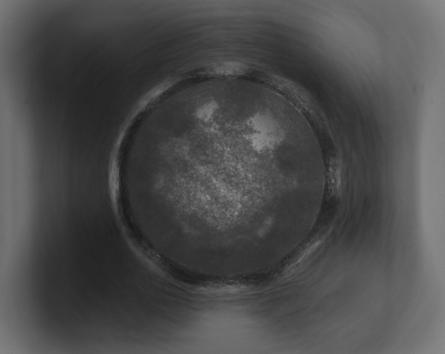 X0000101090726200806261451