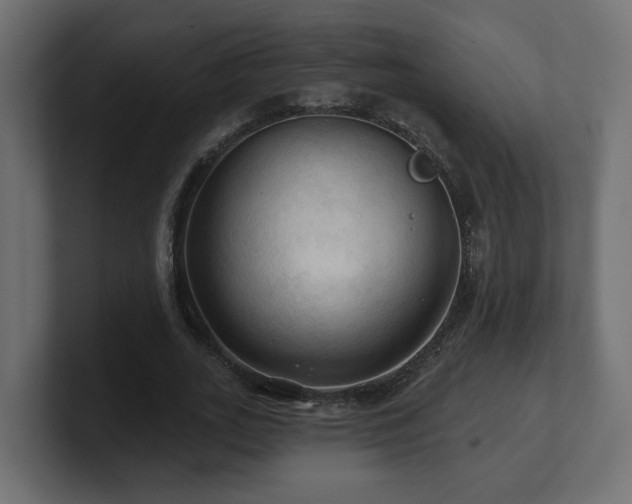 X0000101090727200806261451