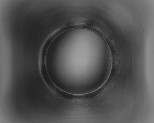 X0000101090728200806261451