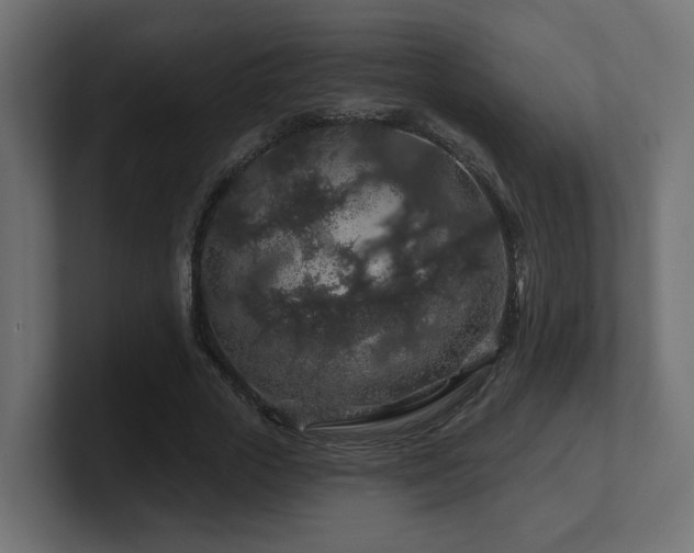 X0000101090729200806261451