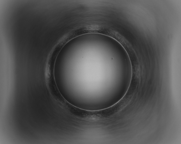 X0000101090731200806261451