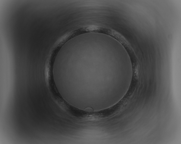 X0000101090732200806261451