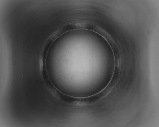 X0000101090733200806261451