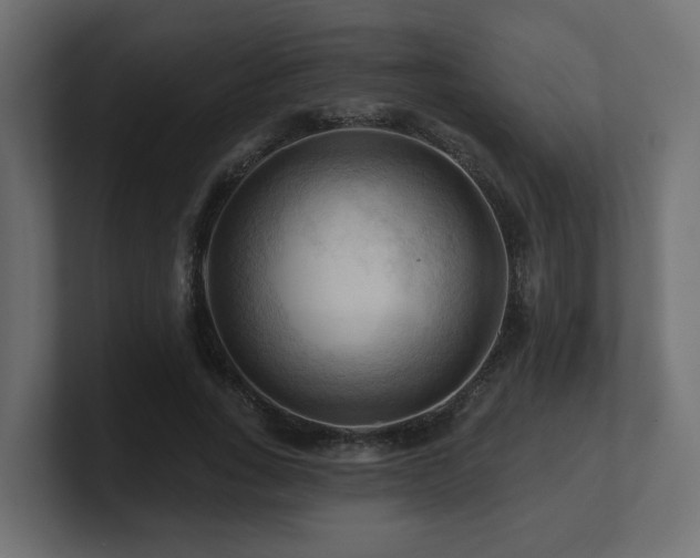 X0000101090735200806261451