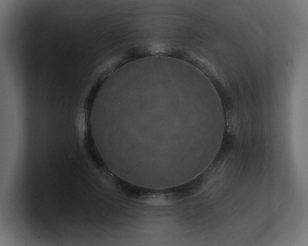 X0000101090740200806261451