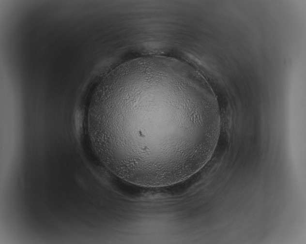 X0000101090742200806261451