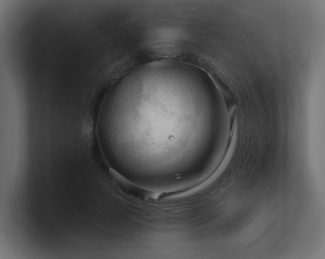 X0000101090745200806261451