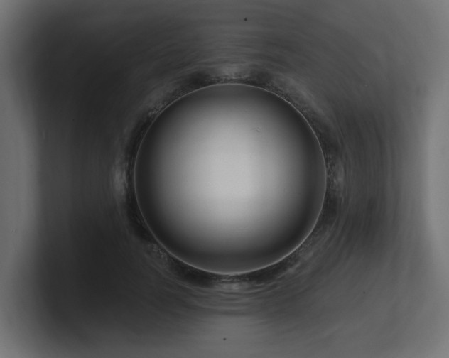 X0000101090746200806261451