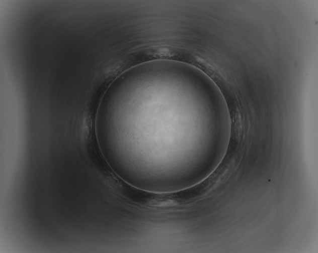 X0000101090747200806261451