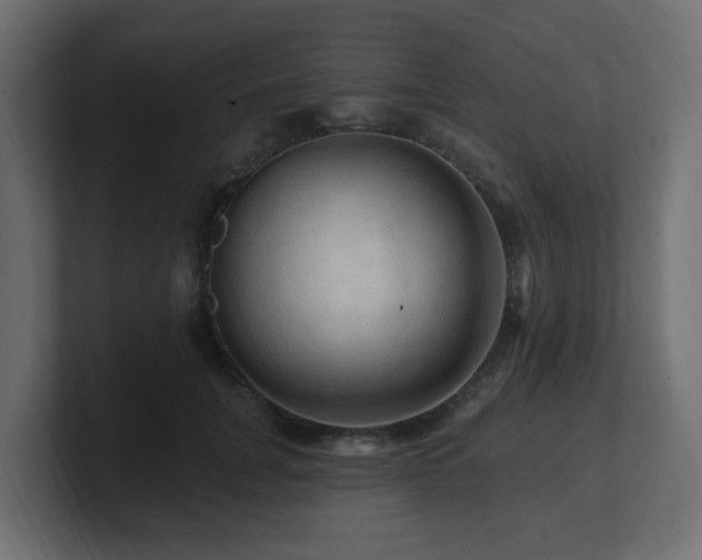 X0000101090751200806261451