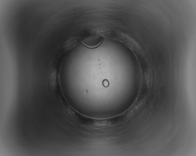 X0000101090757200806261451