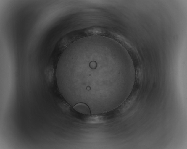 X0000101090760200806261451