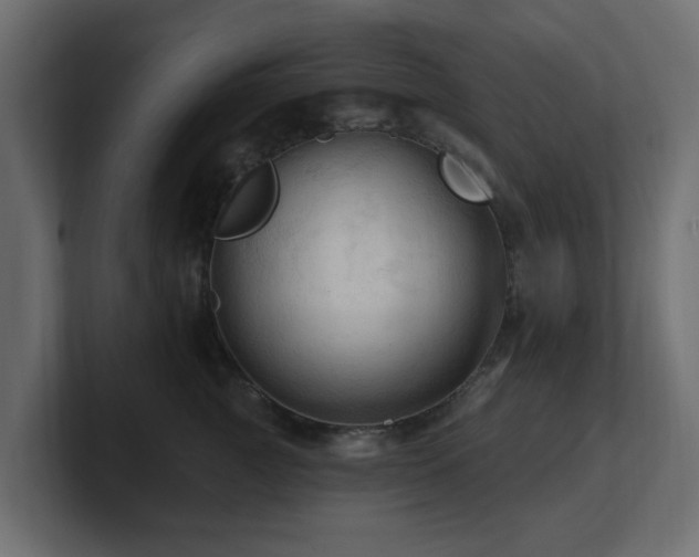 X0000101090761200806261451