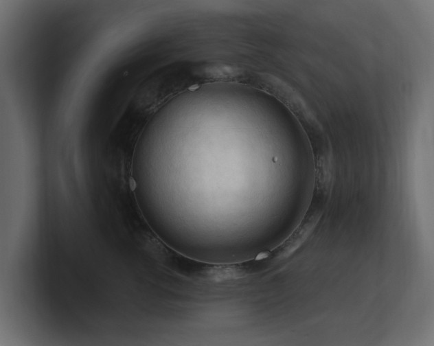 X0000101090762200806261451