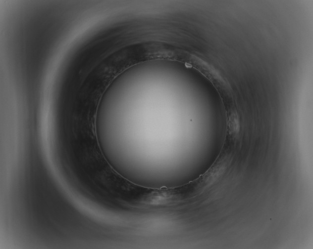 X0000101090764200806261451