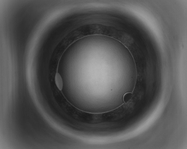 X0000101090766200806261451