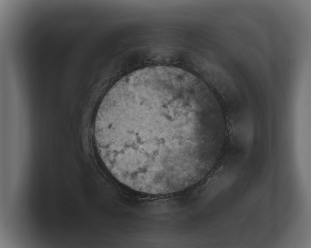 X0000101090769200806261451