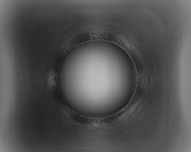 X0000101090770200806261451